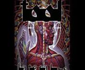 Tool - Lateralus (Full Album) from her full album in comments 2