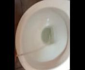 VID 20150216 181411103 from pee toilets
