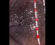 Oiled pussy from ghana shs girls sex video