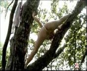 Avina tree by assessor from sunny lion xxx video