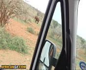 Exotic African Girlfriend Fucked Like A Beast On Safari Date from safari car