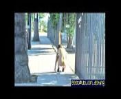Sinn Sage - Jodi Arias Look-A-Like Daring Public Flash Best Ass pt.2 from star flash iccha jodi serial naked xxx