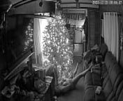 I spy something good under the Christmas tree from tree varjin