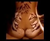 Tiger Eating from desi tattoo