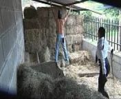 Latin Cruel Whipping In Stables from jodhpur