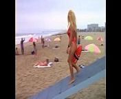 Pamela Anderson Baywatch Pokies 2 from pamela safitri nipples