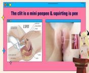 Vtuber teaches you why penis size doesn't matter (not porn) from why penis inter the vagina