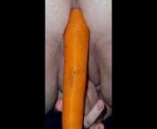 The secret life of carrots: D from la vida secreta de las serpientes