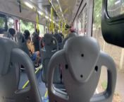 naughty wife on the bus from the bus sex