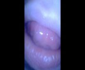 Small Prey Having Fun in my Mouth [Prey POV] from mouth thong theeth lips uvula fetish closeup