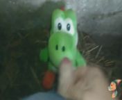 I'm playing with Yoshi dinosaur in the stable from ayoshi