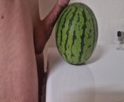 White Cock Vs Watermelon Made the Melon look Small 🤭 from naked men vs women sexy wrestling sex videos