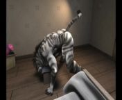 How Zebra enjoy by himself HD by h0rs3 from anal rs
